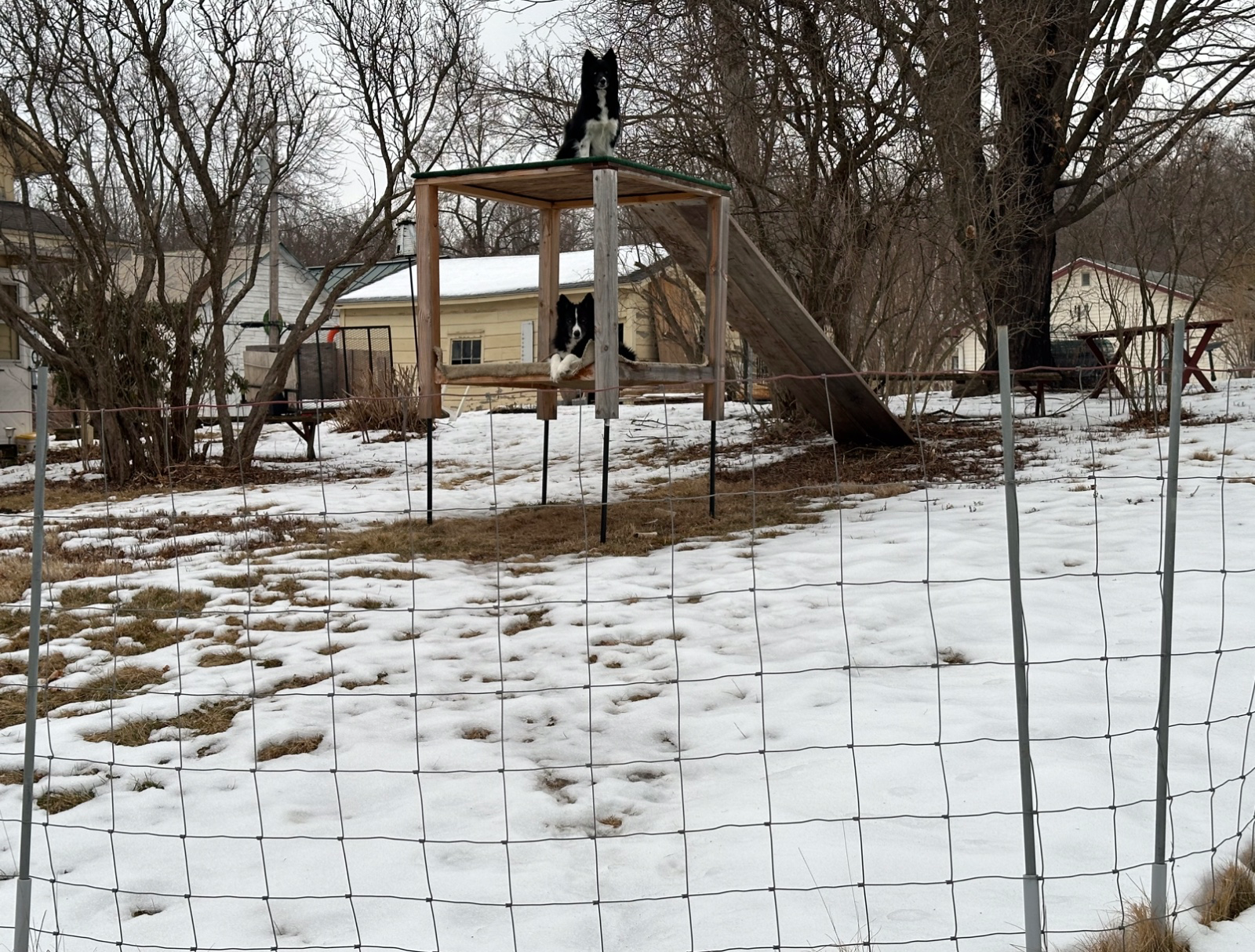 Double 36” swinging gate - Allows for ride on mowers access Double 36” swinging gate - Allows for ride on mowers access