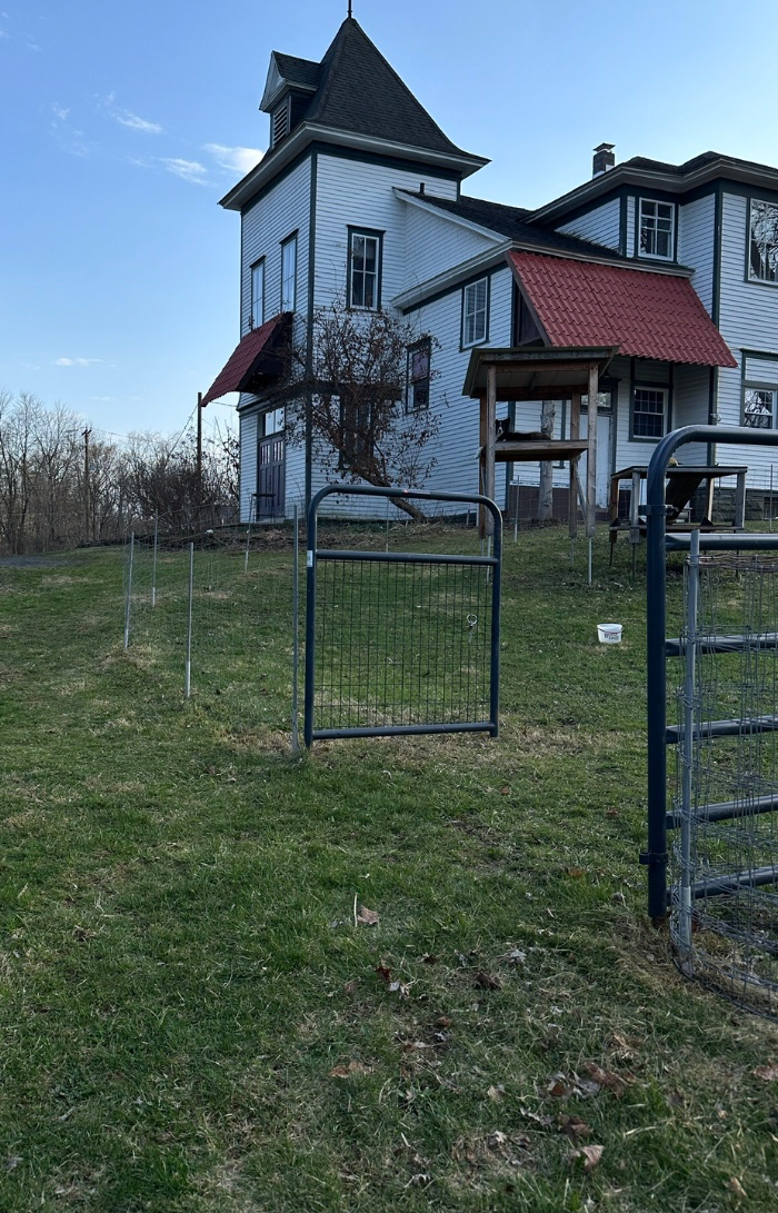 Double gate